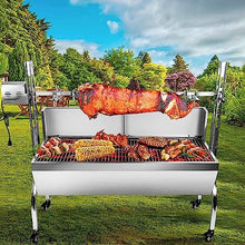 stainless steel rotisserie grill with back cover guard, 25w motor small pig lamb rotisserie roaster, 48.7'' 2 in 1 bbq charcoal rotisserie grill for camping outdoor kitchen (88LBS with baffle)