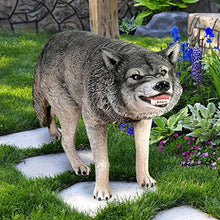 Design Toscano Call of the Wild Growling Gray Wolf Statue Full Color