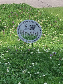 Twin City Seed Co. Bee Lawn Seed Mixture, 25 lb