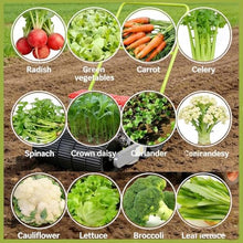 Seeder Seeder Precision Seeder Row Planter,Manual Seeder,Garden Spreaders,Hand Push Garden Seeder, Plants Hemp, Parsley Cabbage Radish, Etc for Small Gardens(Line 6)