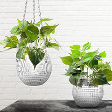 Round Ball Hanging Basket Flowerpot Balcony Garden Desktop Indoor Decor
