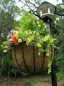22in Bellus Large Hanging Basket 4PK - 22in x 12in - Black PVC Coated