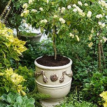 Flower Pot Round Concrete Planter, Plant Pot with Drainage Hole, Decorative Planters Large Cement Planter Containers for Indoor Plants and Outdoor House Plants, Succulents, Flowers (Color : Gold, Si