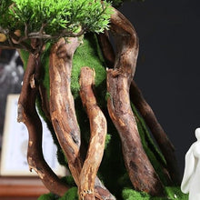 QWERAXZG Pinus Armorus Welcoming Plant Decoration Fake Green Porch Bonsai