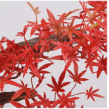 Simulation Maple Leaf Bonsai Ornaments Living Room Office Porch Aisle Potted Micro Landscape Ornaments House Plant (Color : H) (C)