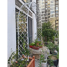 SDdPulse Garden Arbors and Arches, Pergola Arbor for Climbing Plants, Heavy Metal Trellis Archway, for Roses Vines, Lawn, Outdoor Party Decoration, Reconfigurable (White 240x40x250cm)