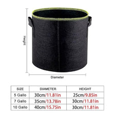 Non-Woven Vegetable Planting Grow Bag with Handle Garden Flower Potato Pot Container Bag 5/7/10 Gallon (Size : 10 Gallon 40x30cm) (10 Gallon 40x30cm)