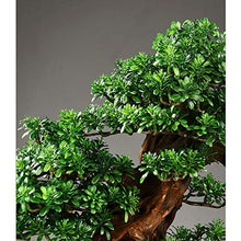 Simulation Bonsai Welcome Pine Ornaments Office Living Room Porch Decoration Crafts Opening Gift Plant House Plant (Color : L) (R)
