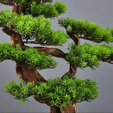 QWERAXZG Welcome Pine Bonsai Simulation Solid Wood Green Plant Potted Decoration