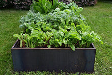 Nicer Corten Planter Bed (96"x48"x16"H) Rust