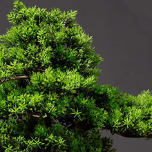 Simulation Welcoming Pine Bonsai Plant Ornament Ceramic Flowerpot Faux Plants for Office Restaurant Home Decoration 19.7" H House Plant