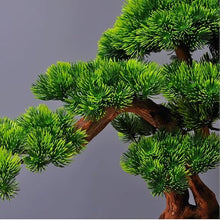 QWERAXZG Decoration Porch Chinese Home Hotel Model Room Simulation Welcome Pine Bonsai
