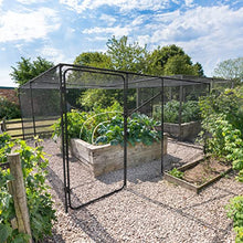 Harrier Fruit & Vegetable Cage - Walk-in Garden Dome [Various Sizes] | Anti-Bird Cage with Bird Netting for Vegetables | Garden Netting for Veg Patch | Fruit Cage (6m x 8m, 1x Door Kit)