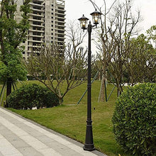 iumLeap 114Inch Outdoor Lamp Post Light Afence Bollard Path Lamp 2-Head Path Pillar Lamp Waterproof Ip65 Street Light Garden Exterior Pillar Post Light Glass Lantern Pole Lig(114inch)