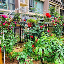 HXYONGN Metal Garden Arch,Rack Plants Flower Rose Climbing Support Stand, Wedding Arch for Roses, Climbers, Fruit, Archway, with Base(1.4 * 2.3m)