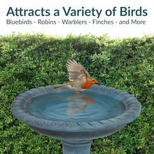 Sunnydaze Concrete Bird Bath with Textured Surface, 26” H, Patina Green