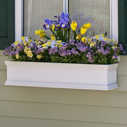 48 inch Laguna Direct Mount Window Box