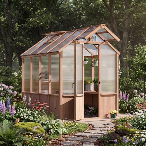Modern Shade EverBloom 6.5'x8' Wooden Greenhouse, 8' Extra-Tall Cedar Wood Greenhouse with Built-in Outdoor Faucet Kit, Heavy Duty Greenhouse with Built-in Shelving, Power Strip & Ventilation System