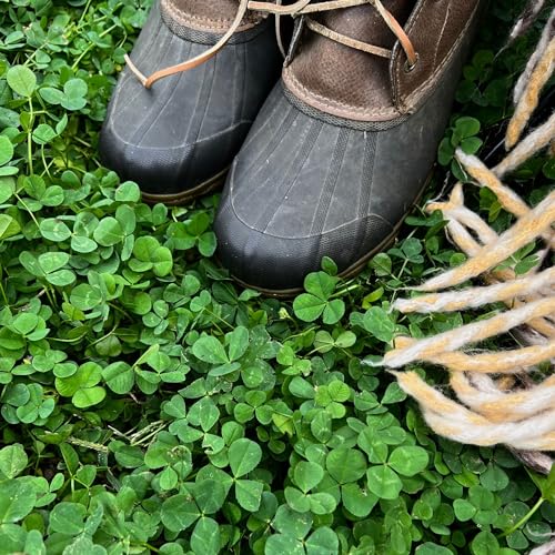Mountain Valley Seed Co Micro Clover Seed for Lawn - 25 Lb Bulk