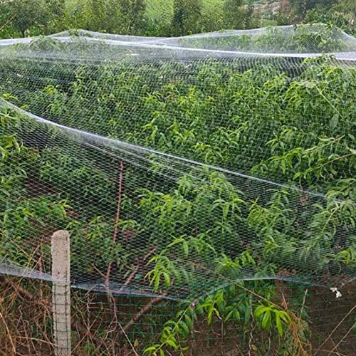 Elitix Fruit Trees Trellis Garden Netting - 10 16 23 33 49 66 82 98 115 131 Ft Wide, Professional White Protection Deer Fence - for Anti Bird, with Square Mesh(35x35m/115x115ft)