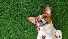 SV Household Decor Realistic Deluxe Artificial Grass Synthetic Turf Carpet Green 13 FT x 82 FT