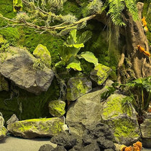 YXLLGS Artificial Moss Fake Rock, PU Foam Landscape Rock, Stones for Garden Landscaping, Natural and Realistic, for Landscaping Lawns and Gardens