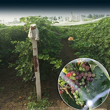 ZAVEIL Doesn't Tangle Anti Bird Netting, Reusable Pond Net, Cuttable Garden Plant Cover, for Protecting Vegetables/Fruit/Plants/Ponds, 2 cm Mesh Size (Size : 30x30m/98.4x98.4ft)