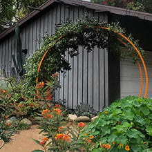 Terra Trellis Original Gracie Modern Arbor Moongate Oxide