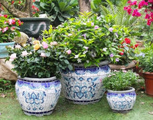 FAFACAI Flower Pots Flower Pot Planter, Outdoor/Indoor Unbreakable Ceramics Flowerpot Country Courtyard Garden Decoration, Large Diameter-C||L (Color : D, Size : M) (B Large)