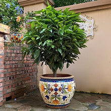 FAFACAI Creative Characteristic Mexico Color Ceramics Large Flower Pot Outdoor Plant Pot Villa Patio Process Container Outdoor Garden for Villa Corridor Aisle Colorful Planter Garden (51 * 39cm)