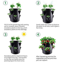 6/9 Gallons Felt Grow Bags for Plants Felt 8pokets Plant Seedling Bag Strawberry Potato Round Bucket Balconies Garden Flower Pot (Color : B) (B)