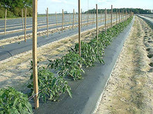 4ft x 5000ft x 0.8mil Black Embossed Photo Degradable Plastic Mulch