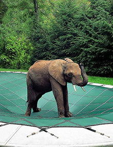 Loop Loc Safety Pool Cover