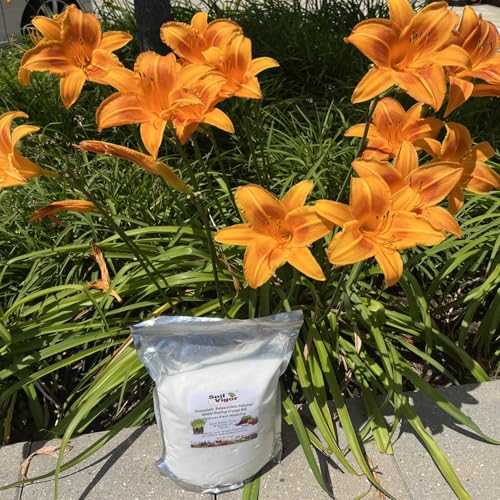 Amending Plants Soil with Super Absorbent Polymers (45 pounds)