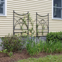 Aurora Trellis