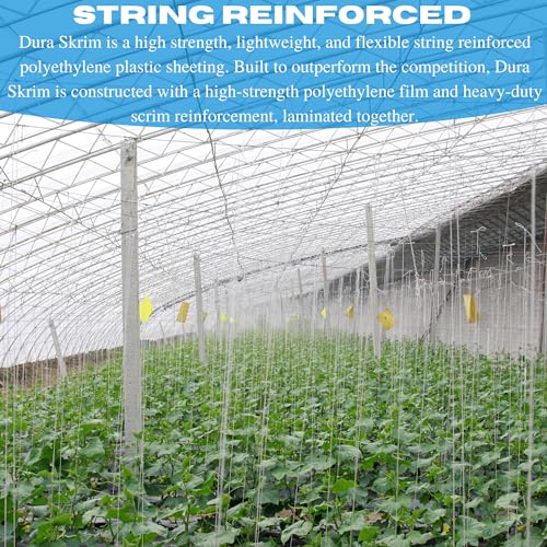Farm Plastic Supply Vapor Barrier Clear Greenhouse Plastic Sheeting 10 Mil 42' x 100'
