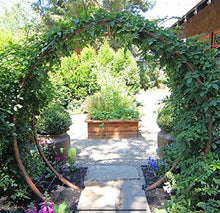 TERRA TRELLIS Gracie Modern Arbor Moongate for Outdoor Plants | Garden Arch Climbing Vines Trellis | Modern, Steel & Durable Metal Round | Regular (Charcoal)