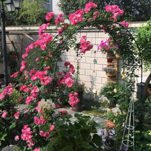 GFSGHZZ Rustproof Metal Rose Arch - Wide Heavy-Du Garden Trellis for Climbing Plants - Ele Outdoor Entrance Det,A-340X230X40Cm