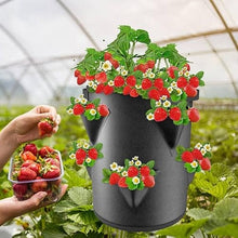 6/9 Gallons Felt Grow Bags for Plants Felt 8pokets Plant Seedling Bag Strawberry Potato Round Bucket Balconies Garden Flower Pot (Color : B) (B)