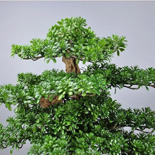 DUYHBAWRS Bonsai Plant Simulation Sample Room Root Carving Creative Welcome Pine Bonsai Decoration