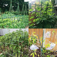 EVANEM 36” (90cm) Length Plant Stakes Gardening Pillar Plastic Coated Steel Pipe, for Supporting Climbing Plants Flowers and Vegetables(100pcs 8 X 900 mm)