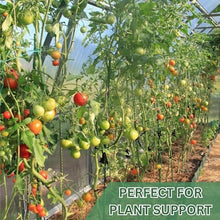 6 Ft Fiberglass Eco Friendly Garden Stakes 100 Pack (Height/Quantity Options) – Durable, Lightweight, Tomato, Tree, Strawberry, Plant, Support Fencing Stakes with Patterned Surface, Green (100, 6 Ft)