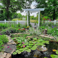 PondXpert EPDM Pond Liner 9' 9'' x 9' 9'' (3m x 3m), Backyard Pond Liner, Flexible Liners for Fish Ponds, Water Features, Fountains, Waterfall Lining, Water Gardens, Great Value & Durable