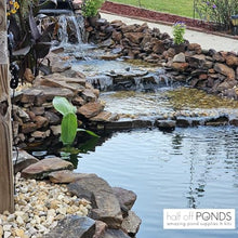 HALF OFF PONDS PondBuilder Elite 6100 GPH Koi Pond Kit 20 x 30 Ft PVC Liner