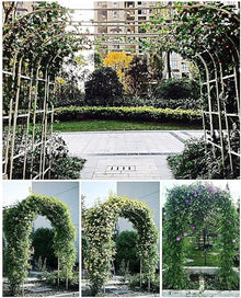 Metal Garden Arch Wedding Arch, Iron Arbor for Climbing Plants, Roses Vines, Outdoor Pergola for Backyard Decoration(3m/9.8ft)