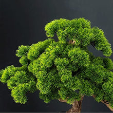 FAFACAI Small Bonsai 1 PC Welcome Pine Bonsai Desktop Decoration Living Room Home Dector Fake Tree Green Potted Plant Ornaments Scenery Fake Plant Greenery Decor for Desk (Color : E) (E)