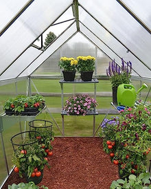 Palram Canopia 6x8 Greenhouse Kit Silver