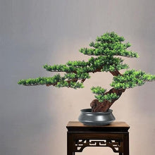 QWERAXZG Simulation of Green Plant Welcome Pine Bonsai Porch Living Room Tea Interior Decoration