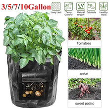 Plant Grow Bags Home Garden Potato Pot Greenhouse Vegetable Growing Bags Moisturizing Jardin Vertical Garden Bag Seedling (Size : 7 US Gallon 30x35CM) (10 US Gallon 34x45CM)
