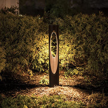 WAC Landscape Lighting, Scoop LED 12V Bollard Light 2700K in Bronze